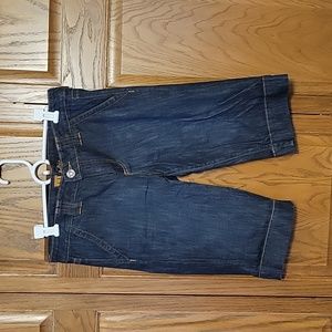 Kut from the Kloth denim shorts